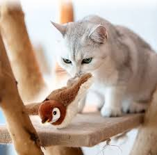 BirdyCat™-Juguete para gatos pájaro volador